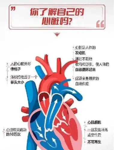 做期货心脏有什么影响吗(做期货的人心脏是不是不好)