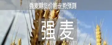 期货郑麦质量标准(期货郑麦质量标准是什么)