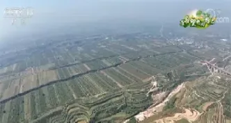 山西高粱期货(高粱期货行情)