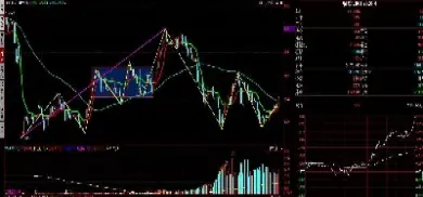 螺纹钢期货涨停是几个点(螺纹钢期货涨停是几个点啊)