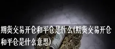 期货一手多仓什么意思(期货一手多仓什么意思啊)