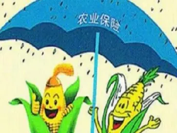 农民期货避险(农民期货避险策略)