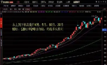 期货多头指数(期货中多头)