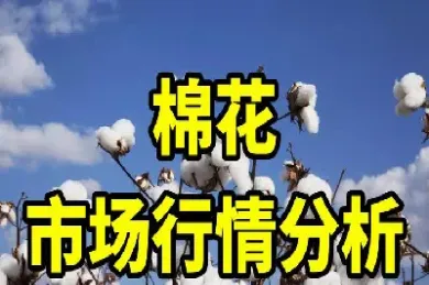 我想个期货账户做棉花期货(期货棉花好)