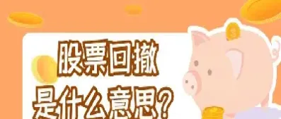 期货中最大回撤是什么意思(期货中最大回撤是什么意思啊)