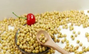 国外大豆期货代码(国内大豆期货代码)