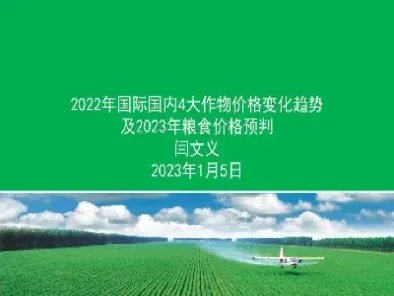 国际粮食价格期货(国际粮食价格期货实时行情)