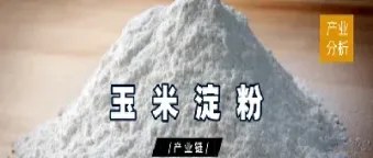 期货里的淀粉是什么(期货里的淀粉是什么意思)