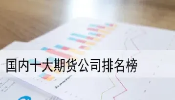 高盛国内期货(高盛在期货市场怎么定价)