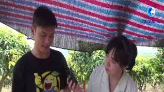 芒果期货直播17(芒果期货直播17日)_期货交易所_第1张_宇龙理财网 芒果期货直播17(芒果期货直播17日)_https://www.dglong8.com_期货交易所_第1张