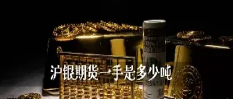 期货沪银交易权限(期货沪银交易权限设置)