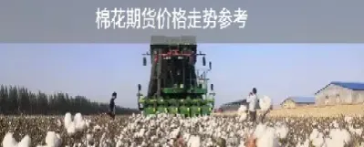 棉花期货杂质(棉花期货杂质有哪些)