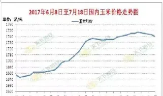 美国玉米期货历史走势分析(美国玉米期货历史走势分析图)