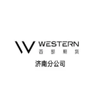韦宁西部期货(西部期货田伟)