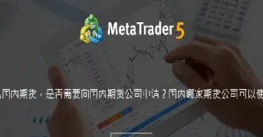 国内期货行业的壮大(国内期货行业的壮大原因)