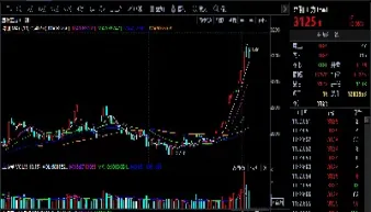 豆粕期货价格外盘行情(豆粕期货实时行情)
