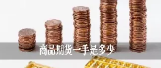 500美金即可做一手期货(500美金即可做一手期货吗)