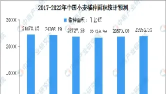 小麦期货市场的发展(小麦期货市场的发展趋势)