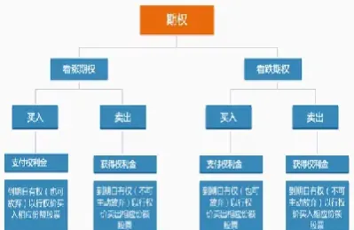 期权与期货的区别主要体现在(期权与期货的区别主要体现在哪些方面)