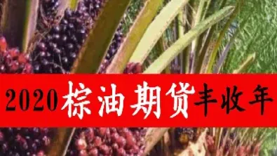 棕榈油期货会空吗(棕榈油期货受什么影响)