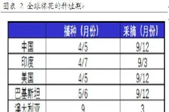 棉花期货正式起步(棉花期货入门)