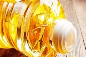 菜籽油期货是(菜籽油期货是特殊品种吗)