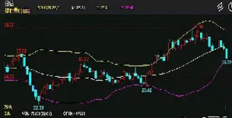 原糖期货从急跌中反弹(原糖期货走势)
