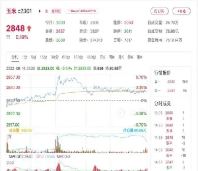 玉米期货合约的生产(玉米期货合约标准)