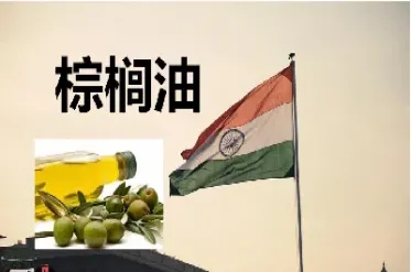 棕榈油期货的用途(棕榈油期货的用途有哪些)