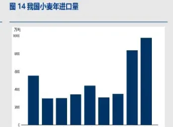 9月17日郑州小麦期货行情早报(9月17日郑州小麦期货行情早报最新)
