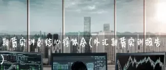 股指期货交易实训总结(股指期货交易实训总结与体会)