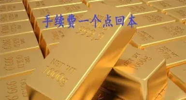 国内商品期货几个点回本(国内期货的主要盈利点)