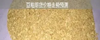 豆粕期货投资建议(豆粕期货技术分析)