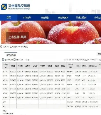 期货主力合约的选择依据是什么(期货主力合约主要是哪几个月)