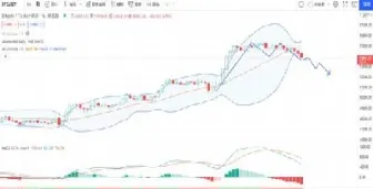 倍特期货广州早间策略(倍特期货广州早间策略交易)
