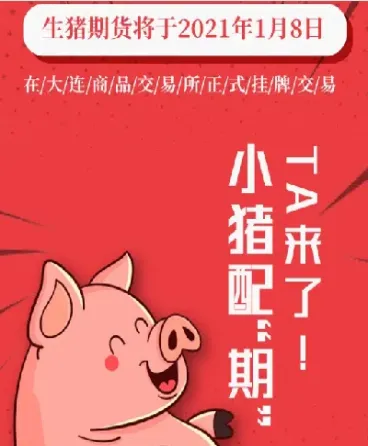 期货生猪交易规则(期货生猪交易规则解读)
