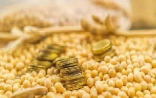 大豆期货年度供求形势(大豆期货供求分析)