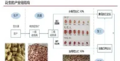 花生期货多少手续费(花生期货的合理定价)