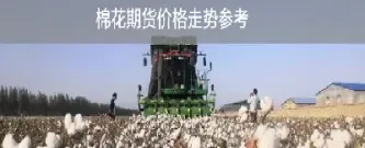 期货棉花一般是几级(期货棉花按什么标准)