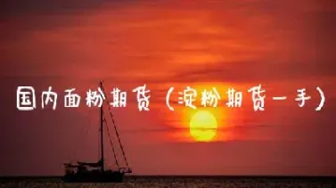 期货淀粉怎么回事(淀粉期货最新消息)