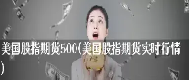 美国股指期货实时行情在哪能看到(美国期货实时行情在哪看)
