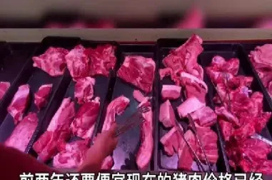 猪肉期货2109为啥涨这么多(期货猪肉2109)