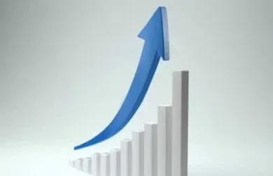 狮子期货是做国际期货的吗(狮子期货是做国际期货的吗是真的吗)