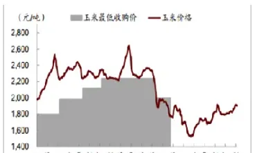 大连港口玉米期货价格行情(大连港口玉米期货价格行情走势)