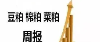 菜粕期货上市对市场的影响(菜粕期货对应股票)