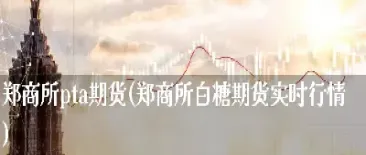 郑商所pta期货规则(郑商所期货交易规则)