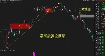 期市棕榈期货(期货棕榈)