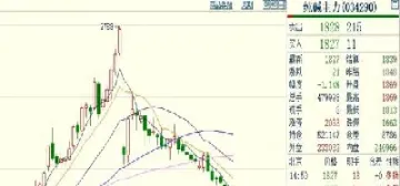 纯碱期货2105合约点评(纯碱期货2409最新点评)