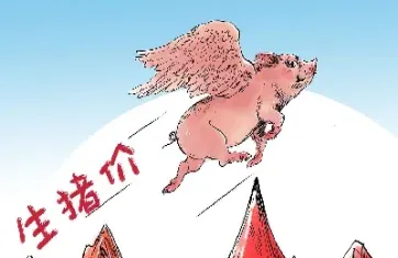 生猪期货怎么算的(期货生猪价格是怎么算的)