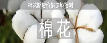 国内棉花期货交易规则(棉花期货交易时间及规则)